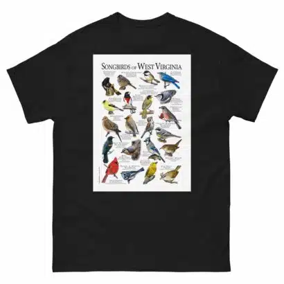 Songbirds of West Virginia - Men's classic tee - Image 2