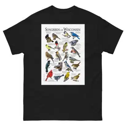 Songbirds of Wisconsin - Men's classic tee - Image 2