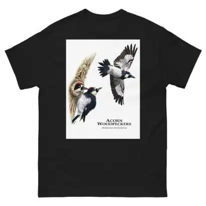 Acorn Woodpeckers - Men's classic tee - Image 2
