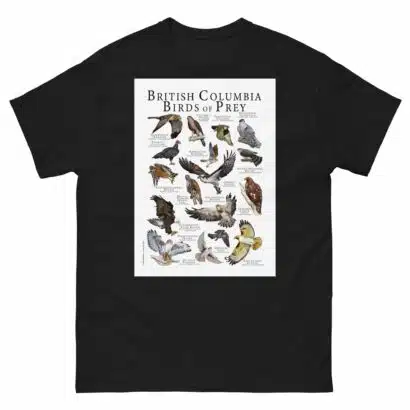 British Columbia Birds of Prey - Men's classic tee - Image 2