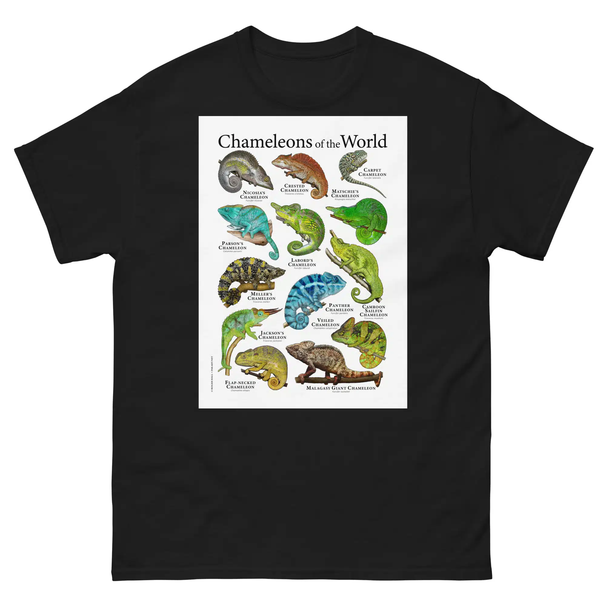 Chameleons of the World - Men's classic tee