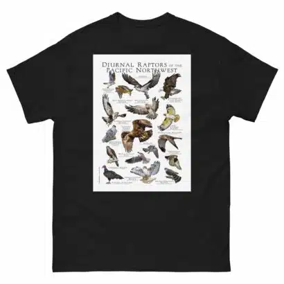 Diurnal Raptors of the Pacific Northwest - Men's classic tee - Image 2
