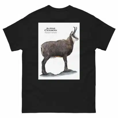 Alpine Chamois - Men's classic tee - Image 2