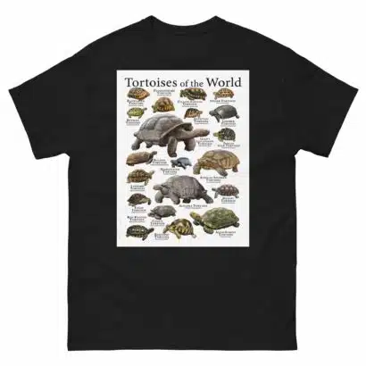 Tortoises of the World - Men's classic tee - Image 2