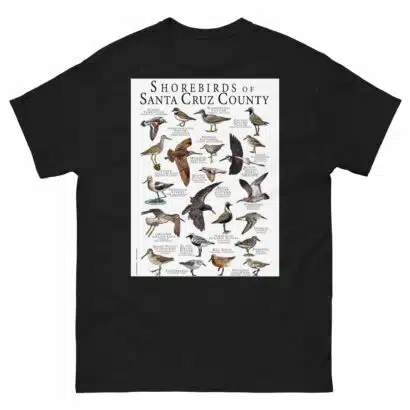 Shorebirds of Santa Cruz County - Men's classic tee - Image 2