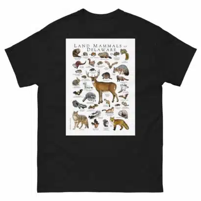 Land Mammals of Delaware - Men's classic tee - Image 2