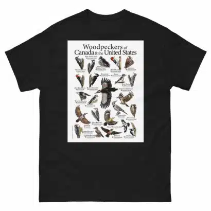Woodpeckers of the USA & Canada Men's classic tee - Image 2