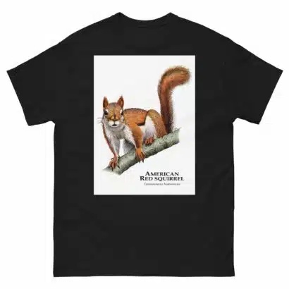 American Red Squirrel - Men's classic tee - Image 2