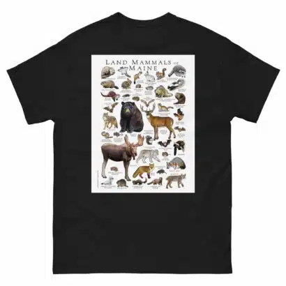 Land Mammals of Maine - Men's classic tee - Image 2