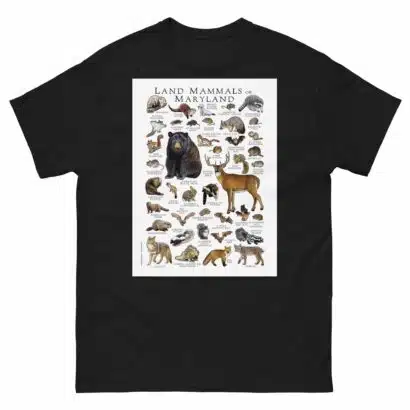 Land Mammals of Maryland - Men's classic tee - Image 2