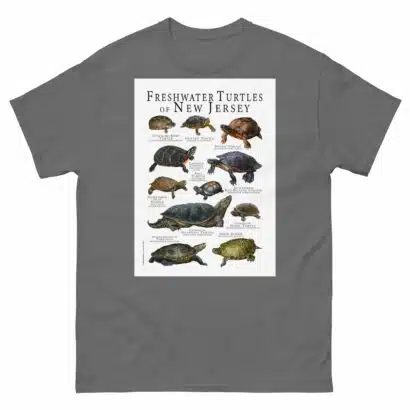 Freshwater Turtles of New Jersey - Men's classic tee - Image 4