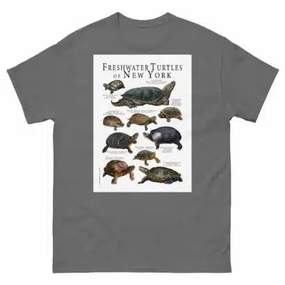 Freshwater Turtles of New York - Men's classic tee - Image 4