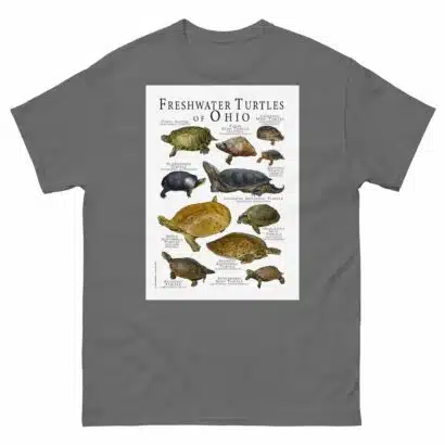 Freshwater Turtles of Ohio - Men's classic tee - Image 4