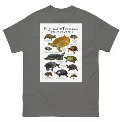 Freshwater Turtles of Pennsylvania - Men's classic tee - Image 4