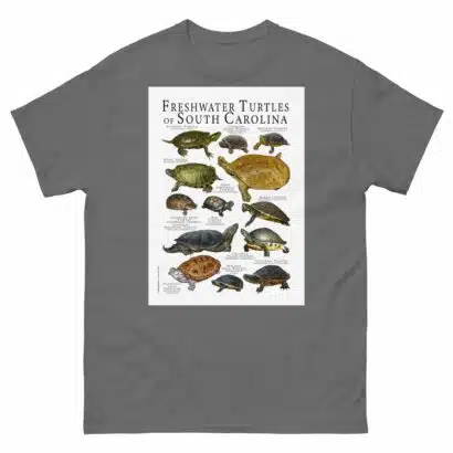 Freshwater Turtles of South Carolina - Men's classic tee - Image 4