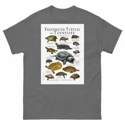 Freshwater Turtles of Tennessee - Men's classic tee - Image 4