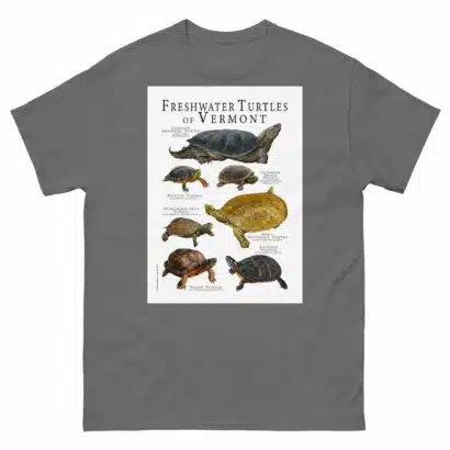 Freshwater Turtles of Vermont - Men's classic tee - Image 4