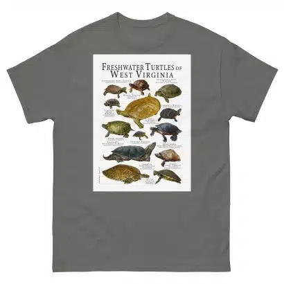 Freshwater Turtles of West Virginia - Men's classic tee - Image 4
