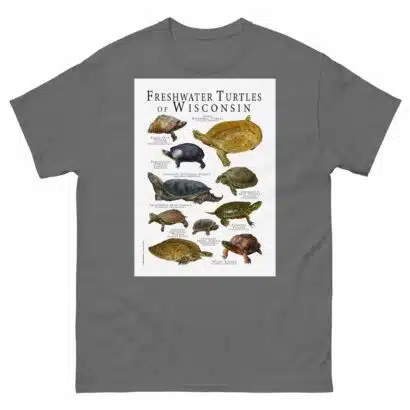 Freshwater Turtles of Wisconsin - Men's classic tee - Image 4