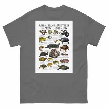 Amphibians & Reptiles of New England - Men's classic tee - Image 4