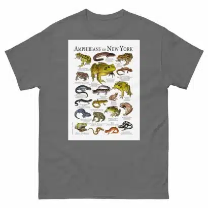 Amphibians of New York - Men's classic tee - Image 4