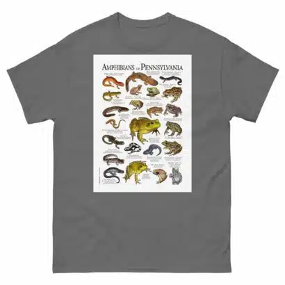 Amphibians of Pennsylvania - Men's classic tee - Image 4