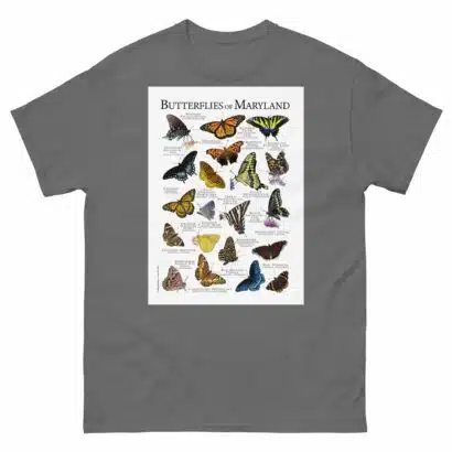 Butterflies of Maryland - Men's classic tee - Image 4