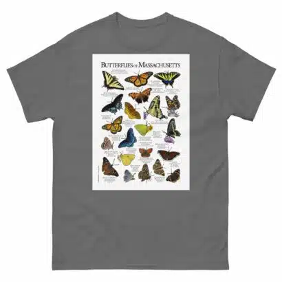 Butterflies of Massachusetts - Men's classic tee - Image 4