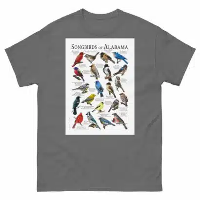 Songbirds of Alabama - Men's classic tee - Image 4