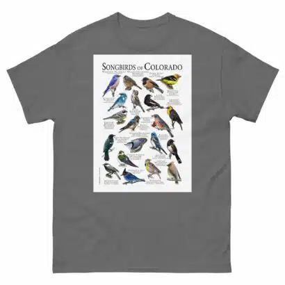 Songbirds of Colorado - Men's classic tee - Image 4