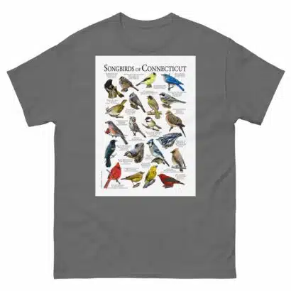 Songbirds of Connecticut - Men's classic tee - Image 4