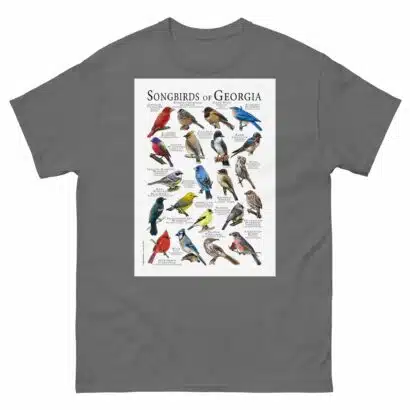 Songbirds of Georgia - Men's classic tee - Image 4