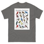 Songbirds of Louisiana - Men's classic tee - Image 4
