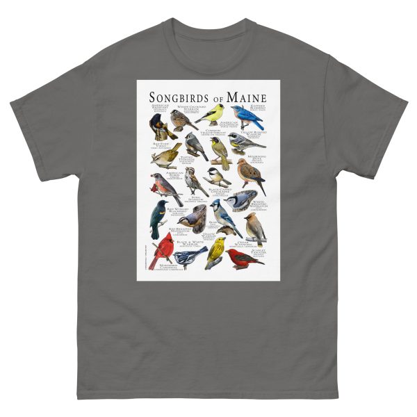 Songbirds of Maine - Men's classic tee - Image 4