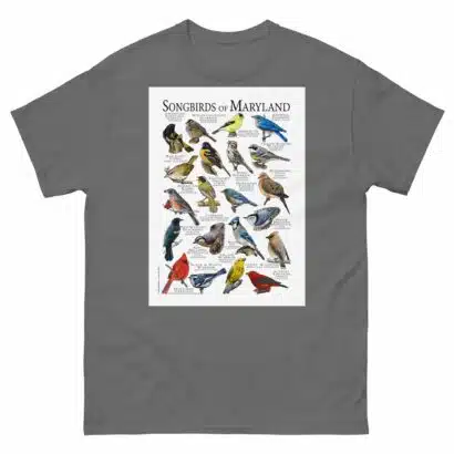 Songbirds of Maryland - Men's classic tee - Image 4