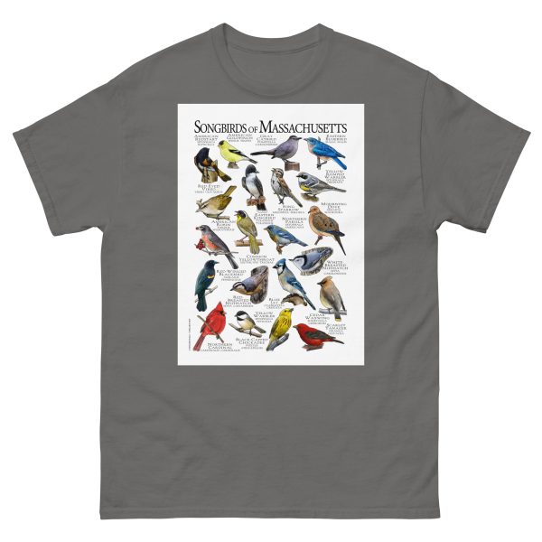 Songbirds of Massachusetts - Men's classic tee - Image 4