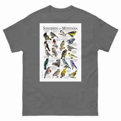 Songbirds of Montana - Men's classic tee - Image 4