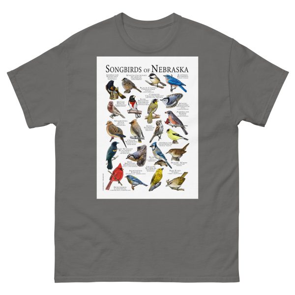 Songbirds of Nebraska - Men's classic tee - Image 4