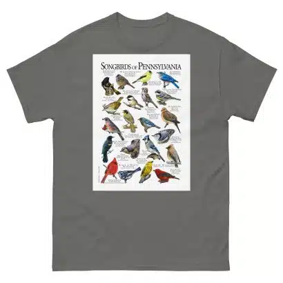 Songbirds of Pennsylvania - Men's classic tee - Image 4