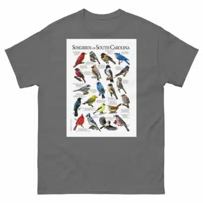 Songbirds of South Carolina - Men's classic tee - Image 4