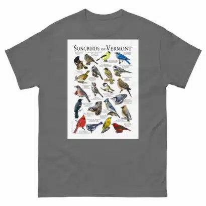 Songbirds of Vermont - Men's classic tee - Image 4