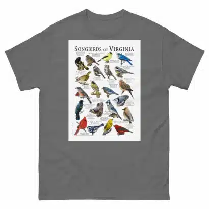 Songbirds of Virginia - Men's classic tee - Image 4