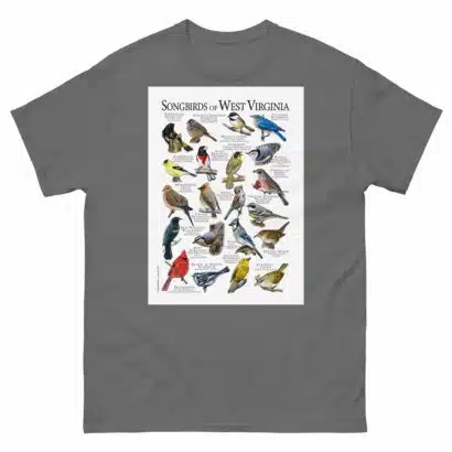 Songbirds of West Virginia - Men's classic tee - Image 4