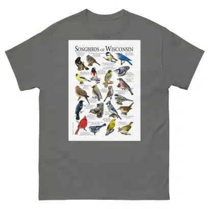 Songbirds of Wisconsin - Men's classic tee - Image 4