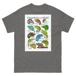 Chameleons of the World - Men's classic tee - Image 4