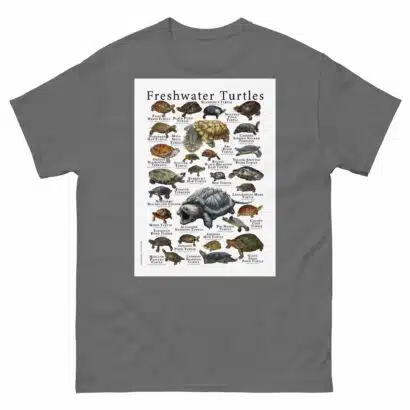 Freshwater Turtles of the World - Men's classic tee - Image 4