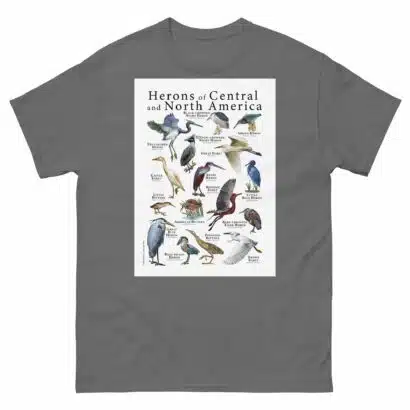 Herons of North and Central America - Men's classic tee - Image 4