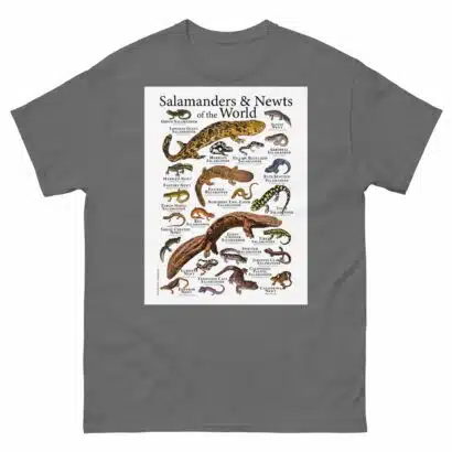Salamanders & Newts of the World - Men's classic tee - Image 4