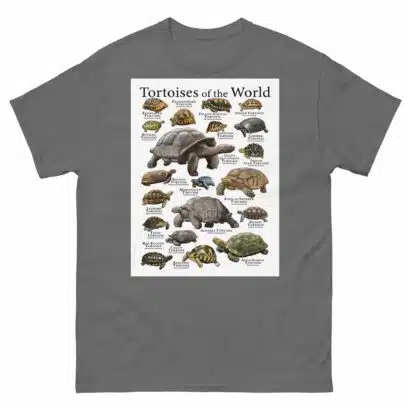 Tortoises of the World - Men's classic tee - Image 4