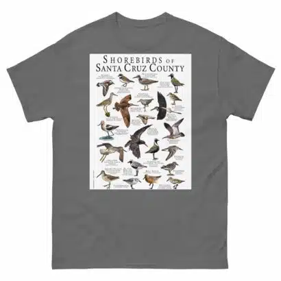Shorebirds of Santa Cruz County - Men's classic tee - Image 4